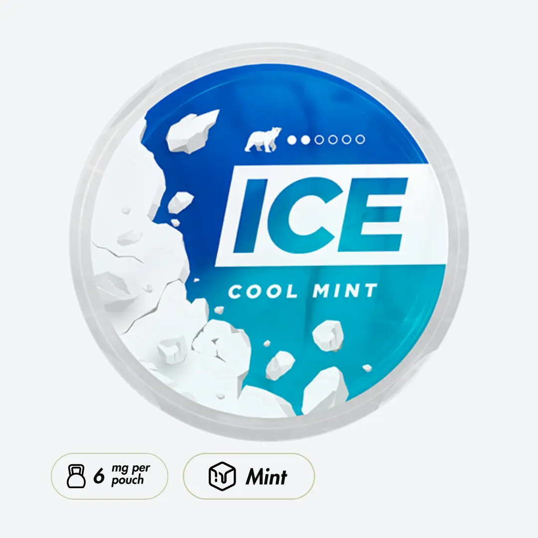 ICE Cool Mint 6MG
