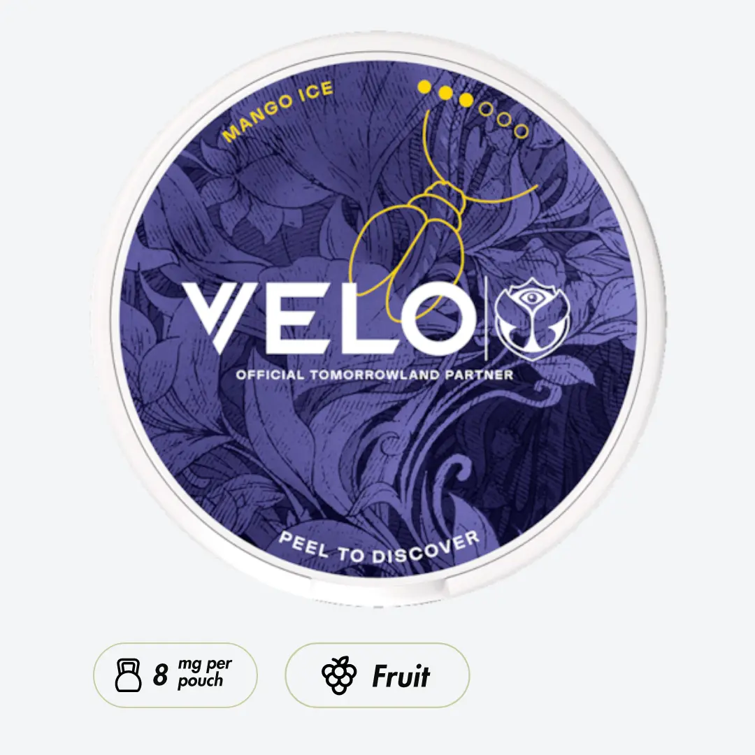 VELO Tomorrowland 2026 Mango Ice Strong