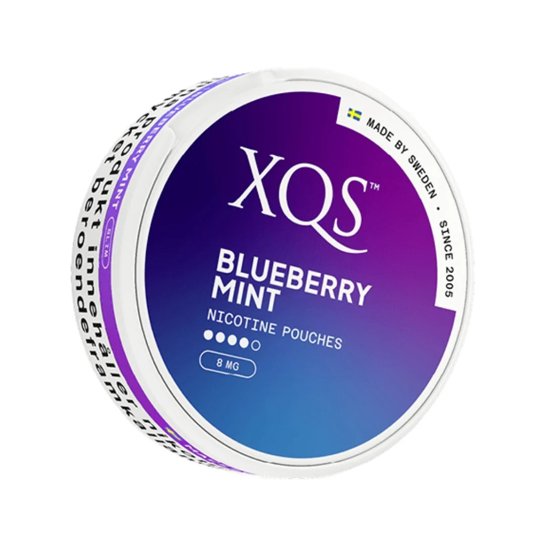 XQS Blueberry Mint Strong - Image 2